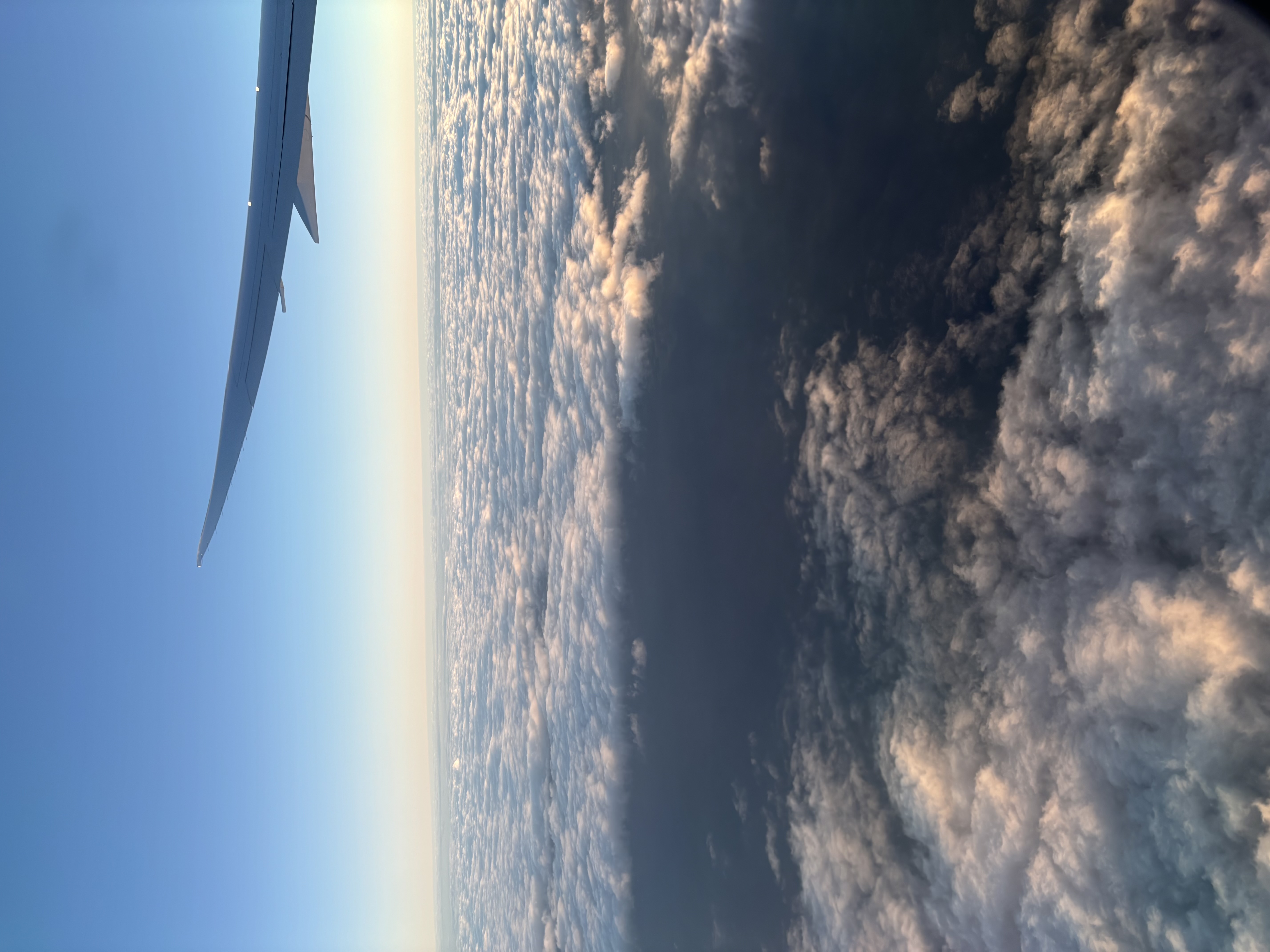 Sights!